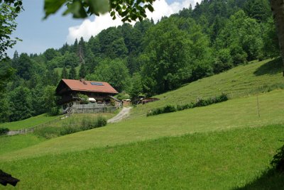 Thursday 1 July, 2010  Also, timber is harvested to use for fuel. This house is just up the hill from the gasthof where we are enjoying  rest and refreshment. It must be possible to drive a motor vehicle to this place. : 2010-07-01 partnach-lindenberg