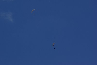 Wednesday 23  June, 2010  I hate people like this; I am so jealous. They catch the updraft created by Tegelberg and soar for hours. : 2006-06-23 Bavarian Alps