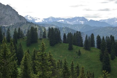 Wednesday 23  June, 2010  The Tegel mountain itself is a series of  mountain ridges that is composed of many peaks and battlements each with its own name:  the thumb, the tower, the bulging head, the pipe head and so on. : 2006-06-23 Bavarian Alps