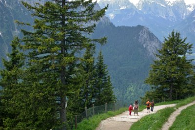 Wednesday 23  June, 2010  This trail leads to the ski run near the restaurant. : 2006-06-23 Bavarian Alps