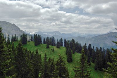 Wednesday 23  June, 2010  Tegelberg is breathtaking in winter or summer and I am glad we got to see  both of its personas. : 2006-06-23 Bavarian Alps