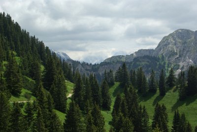 Wednesday 23  June, 2010  The forests of the European Alps  stretch across the countries of France, Italy, Germany, Austria, Slovenia, Switzerland, and Liechtenstein. : 2006-06-23 Bavarian Alps