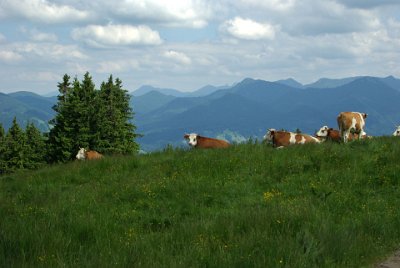 Wednesday 23  June, 2010  It looks like a scene from the  Sound of Music  movie (which is almost unknown in Austria and Germany). : 2006-06-23 Bavarian Alps