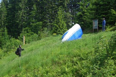 Wednesday 23  June, 2010  We never did get to see him become airborne. : 2006-06-23 Bavarian Alps