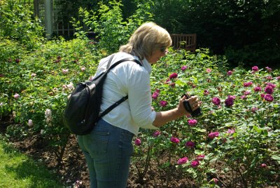 Saturday 26  June, 2010  Jenni takes a movie of one of the gardens mainly so that she can describe them. They don't move very much. : 2010-06-26 day of rest