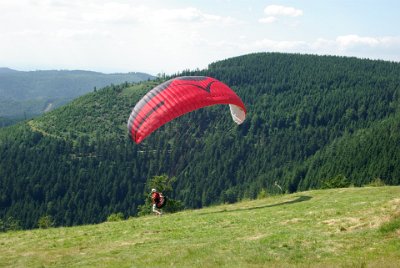 Sunday 4 July, 2010 35th wedding anniversary  How many husbands take their wives to the Black Forest to watch paragliders for their anniversary I ask you? : 2010-07-05 Black Forest