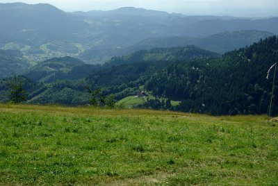 Sunday 4 July, 2010 35th wedding anniversary   After some time we reached the flats and headed for Strasbourg. : 2010-07-05 Black Forest