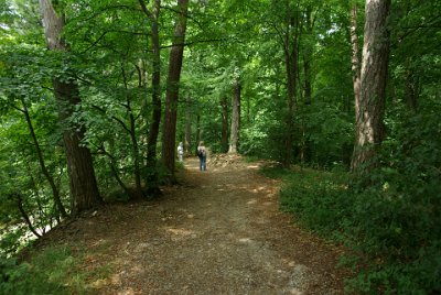 Thursday 15 July, 2010 &nbsp;  We park the car at the top of the hill and start walking towards the castle. On the way we pass through a beautiful forest. : 2010-07-16 Claus