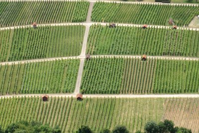 Thursday 15 July, 2010 &nbsp;  A difference in Germany (compared with our own system) is the number of small private plots tended to by the villagers. Each hut belongs to a villager who looks after a particular plot. In the exact centre of the picture, you can see one hut that looks after a particular crop but the one to the right of it is a different crop. : 2010-07-16 JGR FRANKFURT RETURN