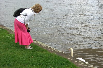 Saturday 12 June, 2010  Jenni talks to the swan not realising that it only understands German. : 2010-06-13 Frankfurt