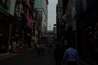 Thursday 10 June, 2010  We come back again to see the Myeong Dong at night time after we visit the Palace and the Seoul Tower.  Our next point of interest is the Gyeongbok Palace. : Seoul