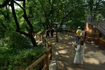 Thursday 10 June, 2010  At the end of the cable car ride, it is s short walk up a few stairs to get to the top of Mount Namsan. : Seoul