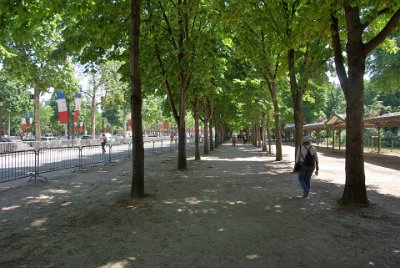 Thursday 8 July, 2010 &nbsp;  The avenue is lined with horse-chestntnut trees and on the left are the stands erected to celebrate Bastille day on 14 July, six days from now. : 2010-07-08 Paris1