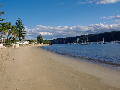 After lunch we walk along the beach on the Pittwater side. : anniversary no 36