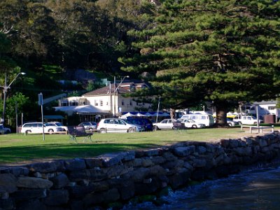 That is our pub - we enjoyed our stay here very much. The beautiful Norfolk Island Pine must be 100 years old. : anniversary no 36