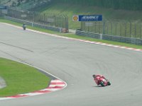 Friday 11 October 2013  Rossi follows Andrea Dovizioso, Italy, Ducati into turn1. Andrea finished tenth with 2 03.029 : Sepang