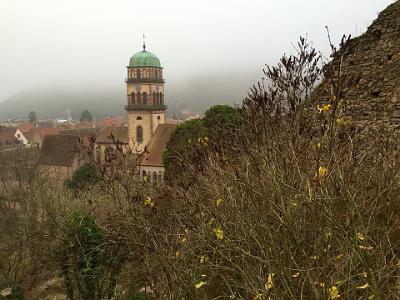 Friday 27 November 2015  - Eguisheim & Kaysersberg, Alsace France>