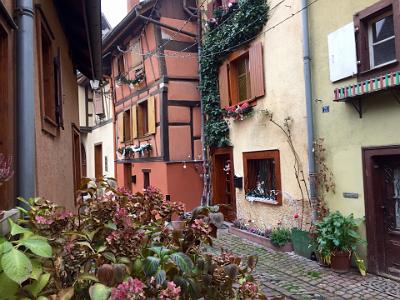 Friday 27 November 2015  - Eguisheim & Kaysersberg, Alsace France>