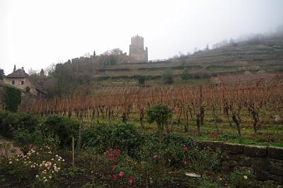 Friday 27 November 2015  - Eguisheim & Kaysersberg, Alsace France>