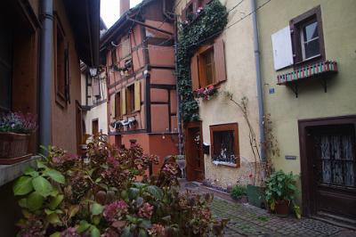 Friday 27 November 2015  - Eguisheim & Kaysersberg, Alsace France>