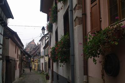 Friday 27 November 2015  - Eguisheim & Kaysersberg, Alsace France>