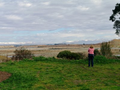 Day 2 - 40th Anniversary trip to NZ  The Southern Alps lie along a geological plate boundary with the Pacific Plate pushing westward and colliding with the northward moving Indo-Australian Plate.