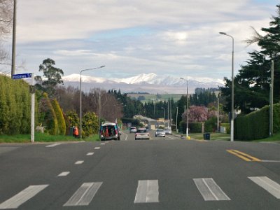 Day 2 - 40th Anniversary trip to NZ  As we leave Oamaru, we get a good look at the Alps farther to the South. What a setting! I'm starting to notice the predominance of European trees, shrubs and hedges.