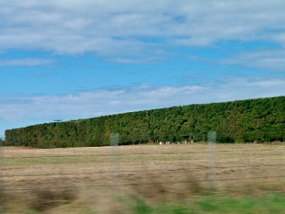 Day 2 - 40th Anniversary trip to NZ  We continue travelling south and see more of these giant hedges.