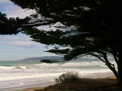 Day 2 - 40th Anniversary trip to NZ  Just to the north of Palmerston, we stop and admire a large sandy beach with a proper Pacific Ocean surf running.