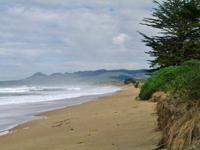 Day 2 - 40th Anniversary trip to NZ  I speak with a local and have my first experience with the NZ accent. He tells me that his son would love to be surfing in it.   I reply, “Not for me.”    “Yis, ut’s a wee b’t ch’lly."