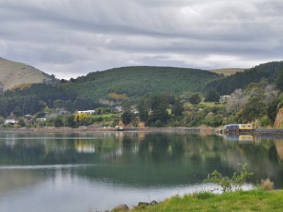 Day 3 - 40th Anniversary trip to NZ  Our first stop today is the Albatross Sanctuary at the top of the peninsular 25 kms away. Dark clouds move in.