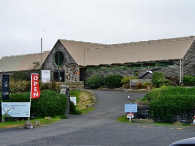 Day 3 - 40th Anniversary trip to NZ  We get there just as the sanctuary opens at 10:15.