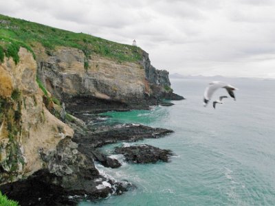 Day 3 - 40th Anniversary trip to NZ  That got me wondering about how NZ was born. The answer: NZ and New Caledonia are part of a portion of continental crust, usually referred to as Zealandia.