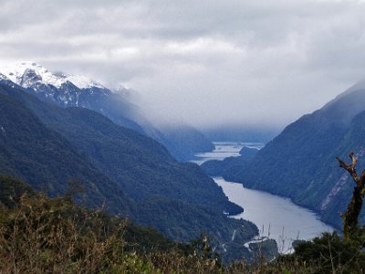 Day 5 - 40th Anniversary trip to NZ  We stop at the top for a view down into Doubtful Sound. Magnificent. Unbelievable. We also enter a different climatic zone.  The rainfall on this side of the mountain is nearly 8 metres per year and it rains 200 days a year.