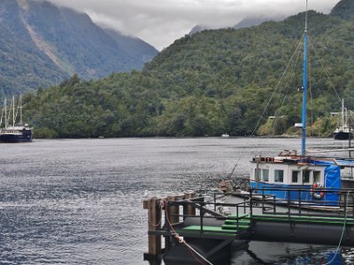 Day 5 - 40th Anniversary trip to NZ  In 1770 Captain Cook named this place Doubtful Harbour. He didn't enter the inlet as he was uncertain whether it was navigable under sail.