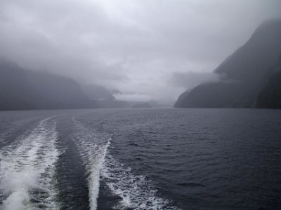 Day 5 - 40th Anniversary trip to NZ  Rats are also a problem as they have been known to swim to these islands. The Maoris brought rats with them when they came to NZ 7-800 years ago.