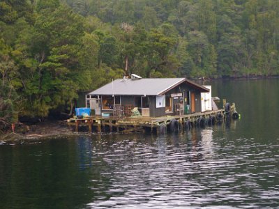 Day 5 - 40th Anniversary trip to NZ  As we approach the Tasman Sea, nestled in the lee of Blanket Bay, is a fisherman’s hut. Fiordland is a national park and private buildings are prohibited. However, the park boundary stops at the high water level.  So these enterprising fisherfolk built the hut between the high and low water marks. The NZ Government quickly changed the legislation but the hut remains because it pre-dates the changed legislation.