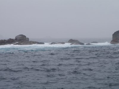 Day 5 - 40th Anniversary trip to NZ  The sea is very rough but our hosts comment on how lucky we are because, “It doesn’t get much calmer than this.” More Kiwi humour I suspect.