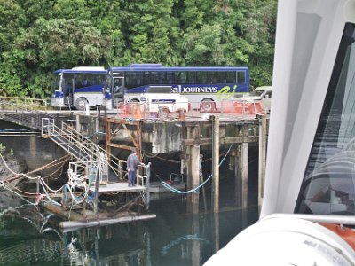 Day 5 - 40th Anniversary trip to NZ  It's then a relatively short trip back to the dock at Wanganella Cove. Get off the boat. Get in the bus.