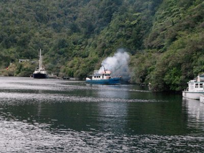 Day 5 - 40th Anniversary trip to NZ  Whalers and sealers later renamed it  Doubtful Sound although it is not technically a sound but a fiord (a Sound is created by a river, a Fiord is created by a Glacier).