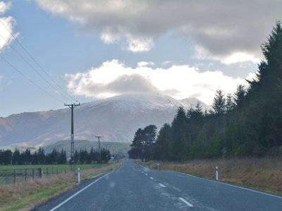 Day 6 - 40th Anniversary trip to NZ  Almost as soon as we leave Te Anau the destruction of the landscape begins again. "Wilding conifers threaten permanently to alter the unique landscapes that are only found in NZ.  Wilding conifers currently cover more than 1.8 million ha of land, and are spreading at an estimated rate of 5% a year."  NZ Dept of Conservation