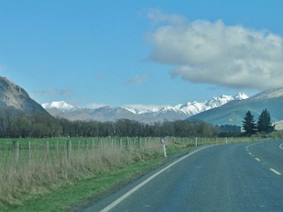 Day 6 - 40th Anniversary trip to NZ  How much nicer would this be if we were driving through a forest of Southern Beech or podocarp? What about the magnificent Kauri? "Kauri are now protected from logging, but there are only 7,455 hectares of mature kauri forests remaining. We also have almost 60,000 hectares of regenerating forest and scrubland containing kauri. However, this is less than 5 percent of the kauri forests we once had."   Statistics NZ Gov