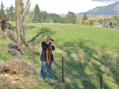 Day 6 - 40th Anniversary trip to NZ  Jenni taking the previous picture.