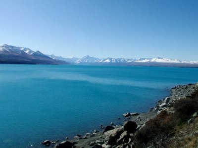 Day 6 - 40th Anniversary trip to NZ  Then on to Lake Tekapo.  This is also an artificial lake and the two lakes work together to produce hydroelectricity.  It covers an area of 83 square ms, and is at an altitude of 710 metres above sea level. The lake is fed at its northern end by the Godley River, which has its source in the Southern Alps to the north.