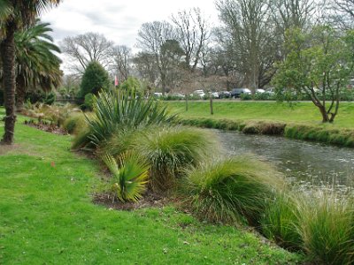 Day 8 - 40th Anniversary trip to NZ -  Jeff visits the Botanical Gardens   We didn't know it at the time, but the Botanical Gardens include land on both sides of the Avon and this land includes a car park. Instead, we fed a parking meter on the street. I'm on the northern edge of the gardens.