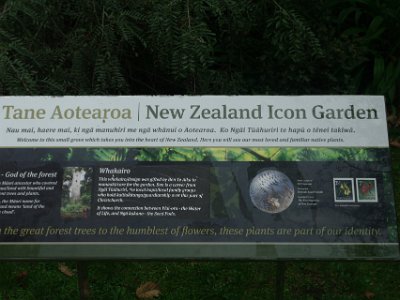 Day 8 - 40th Anniversary trip to NZ -  Jeff visits the Botanical Gardens   At the western edge is a small area of NZ's endemic botanical species.