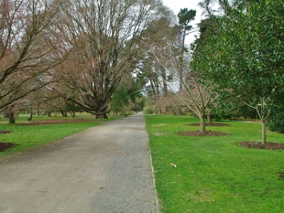 Day 8 - 40th Anniversary trip to NZ -  Jeff visits the Botanical Gardens   So I rush back along the border of the archery garden to greet her.  I actually took 155 pictures during my visit to the gardens but 100 did not make the cut.  My overall impression: beautiful but a couple of hours wondering around without a plan or a map does not do justice to the place.  It needs a full day at least because I missed so many beautiful things.