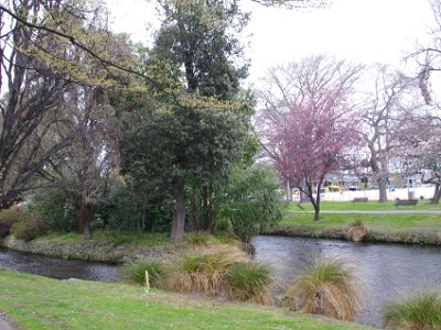 Day 8 - 40th Anniversary trip to NZ -  Jenni explores the city area   The mill was built in 1859 and operated until 1888. At its peak, horses and drays laden with wheat queued back 750 metres to the Christchurch Hospital.