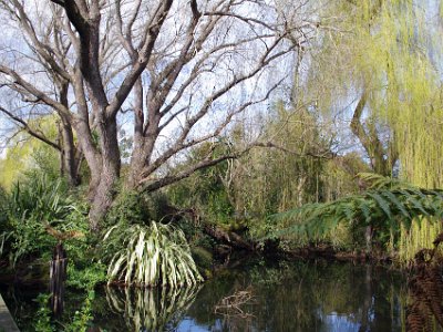 Day 8 - 40th Anniversary trip to NZ -  Willowbank Wildlife Reserve   The reserve has many lakes running through it with bridges running across most of them.