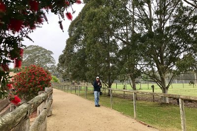 Friday 20-10-2017 Mogo Zoo  This is a beautifully landscaped zoo. Cages with bars are rare, most of it is parks and gardens like this.